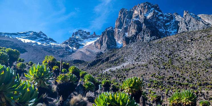 The high-altitude peaks and alpine vegetation of Mount Kenya