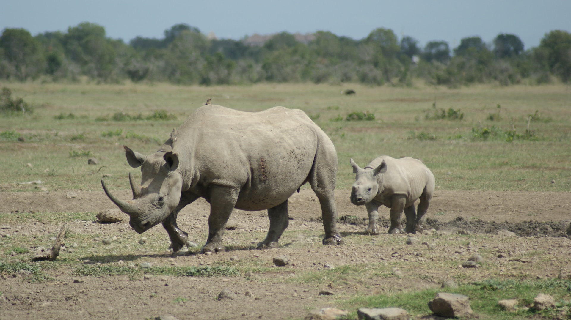 Nanyuki